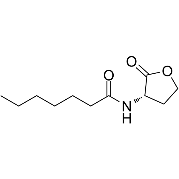 N-Heptanoyl-L-homoserine lactone 177158-20-2